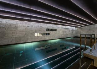 Image of Perce Neige