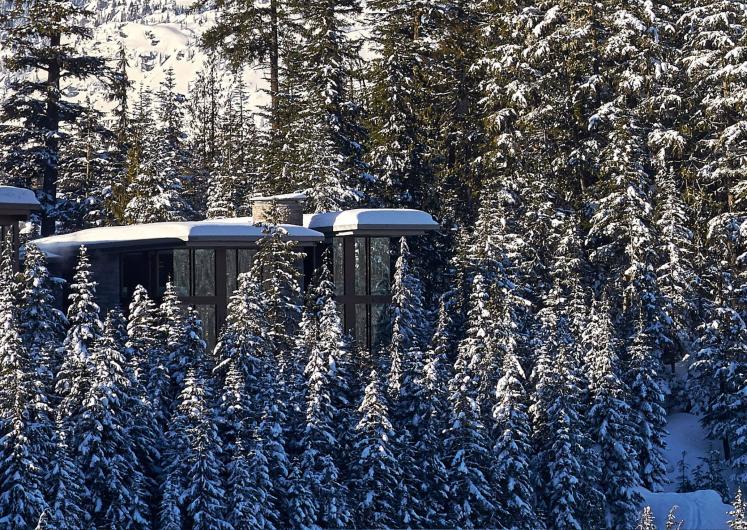 Image of Serenity Estate