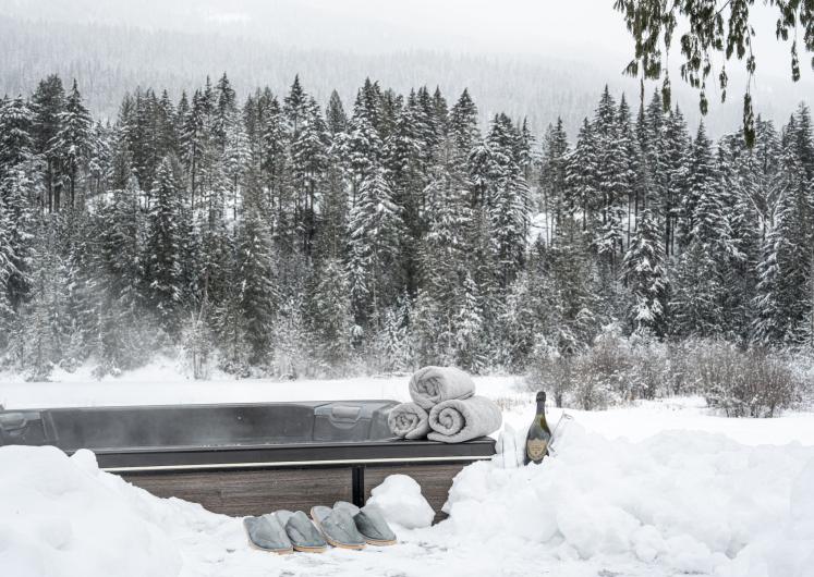 Image of Mountain Lake Chalet