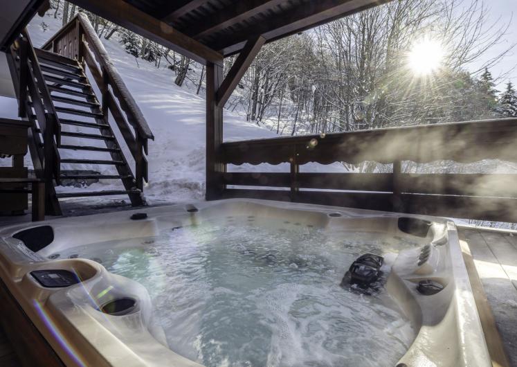 Image of Chalet Lapin Blanc