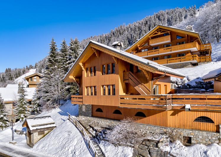 Image of Chalet Pasarale