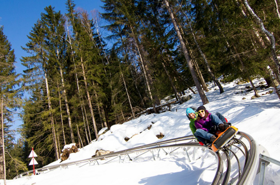 Chamonix Luge Alpine Coaster