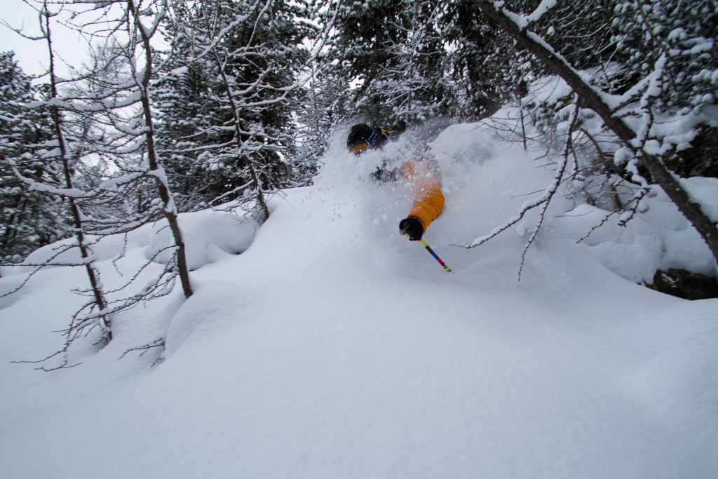 skiing in powder, tree skiing, back country skiing, off piste skiing
