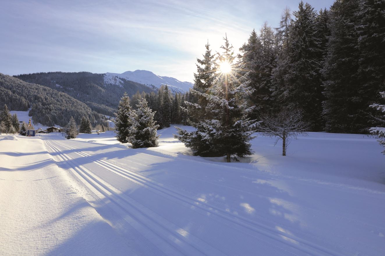 cross-country ski resorts, cross-country skiing the Alps