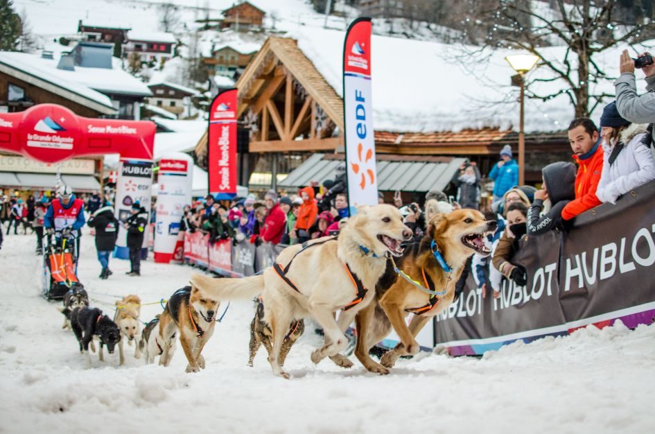 Husky racing events in the Alps