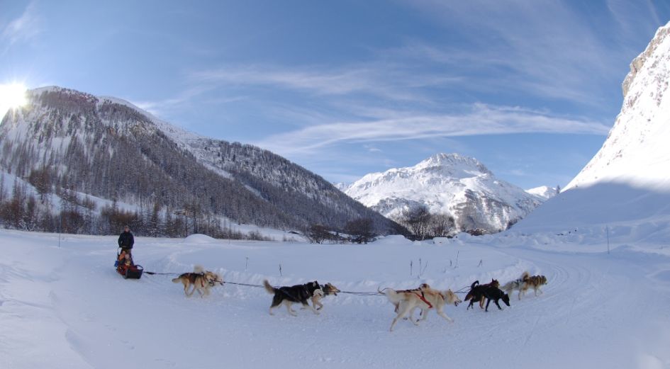 Dog sledding in Val d'Isere Non skiiers in Val d'Isere, nonski activities on Val d'Isere