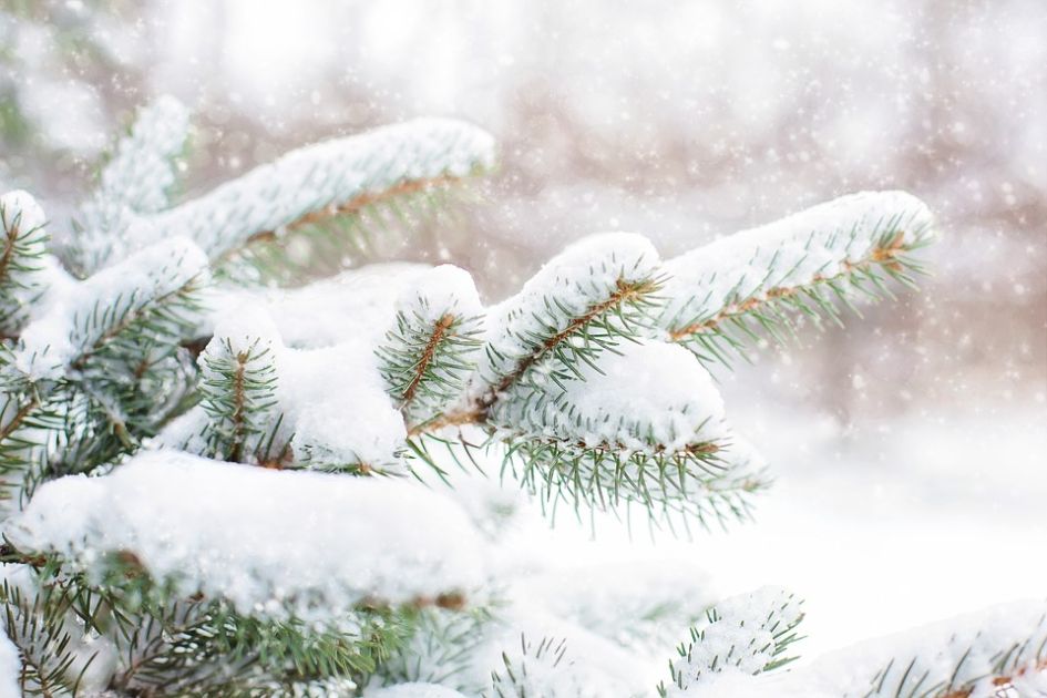 Christmas in Morzine, Morzine Christmas, Christmas in Portes du Soleil, Luxury ski chalets for Christmas in Morzine
