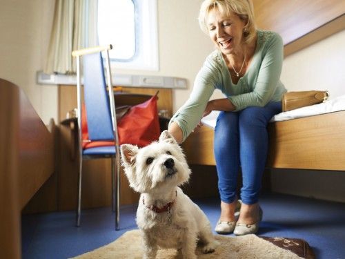 cabin holidays with dogs