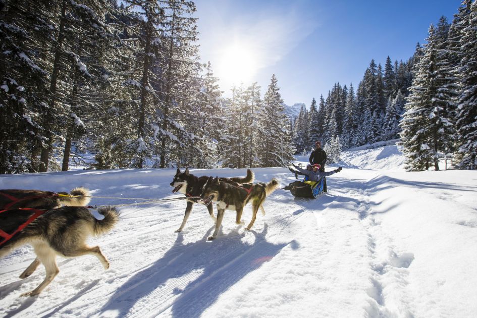 husky sled ride in Courchevel Village 