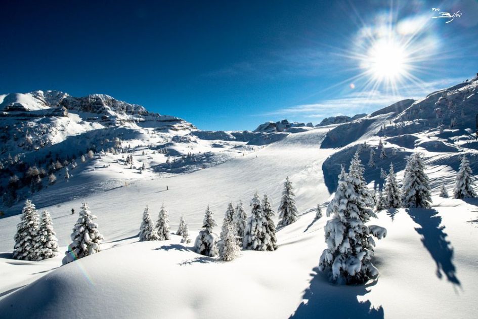 Skiing in Madonna di Campiglio