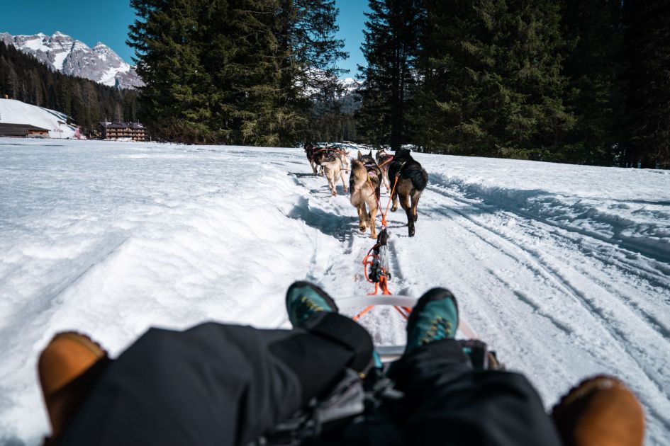 Husky dog ride in Madonna di Campiglio, non-ski activities in Madonna di Campiglio