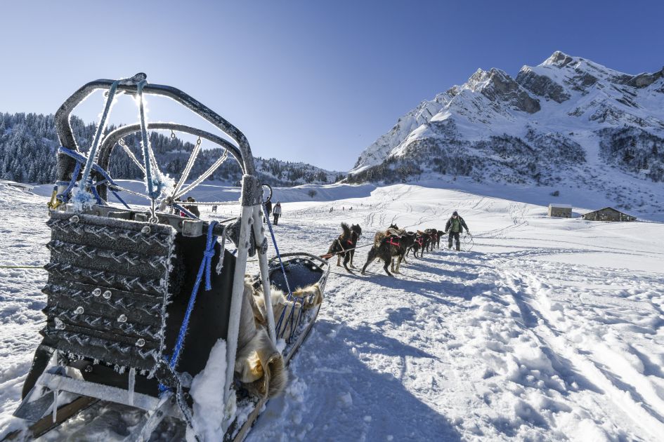 Dog sledding in La Clusaz © D Machet Dog sledding is a great non-ski activity for your luxury ski holiday in La Clusaz - great fun for all the family!