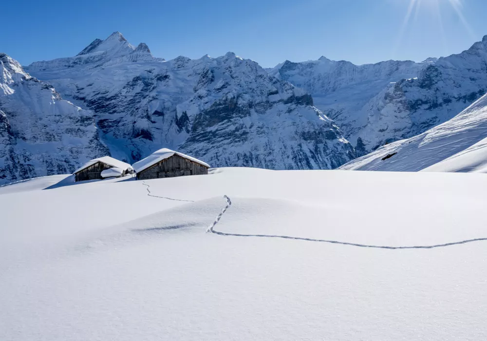 Skiing In Switzerland